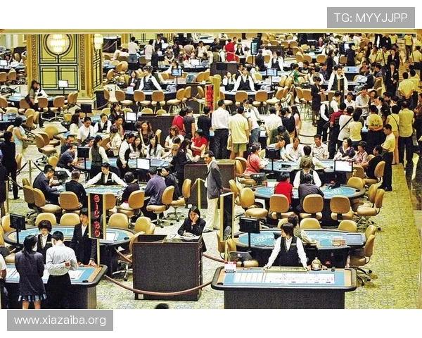 澳门银河博彩用户评价与真实体验分享，帮助新手快速上手与风险规避