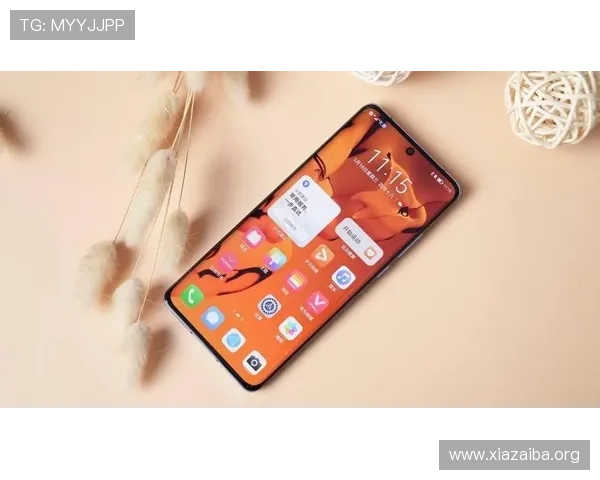 如何确保六合彩网站登录过程中的账号安全与隐私保护，避免个人信息泄露风险