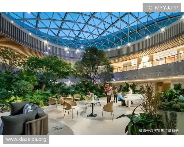 探索铂莱·美高梅娱乐的独特魅力，揭秘其高端娱乐设施与豪华休闲体验